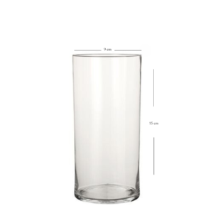 ALQUILER DE JARRÓN (MADRID)